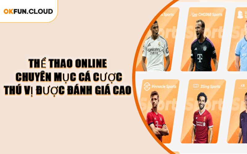 Thể thao online - Chuyên mục cá cược thú vị được đánh giá cao