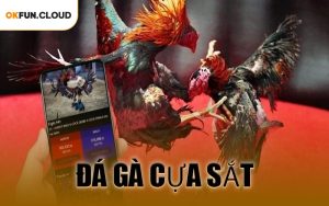 Đá Gà Cựa Sắt