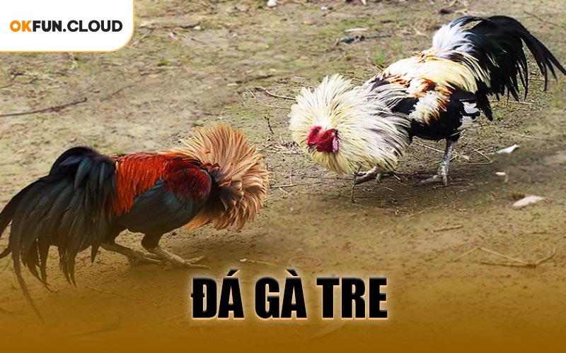 Đá Gà Tre