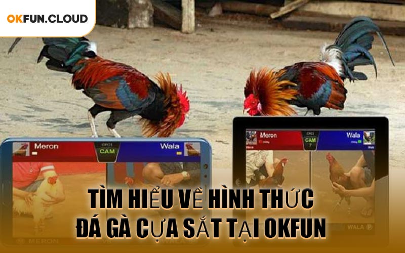 Tìm Hiểu Về Hình Thức Đá Gà Cựa Sắt Tại OKFUN